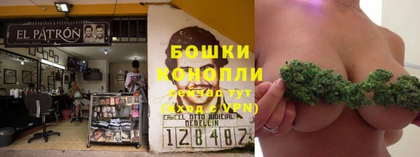 альфа пвп Дмитровск