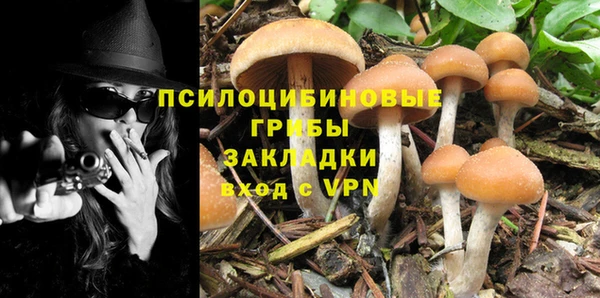альфа пвп Дмитровск