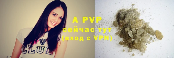альфа пвп Дмитровск