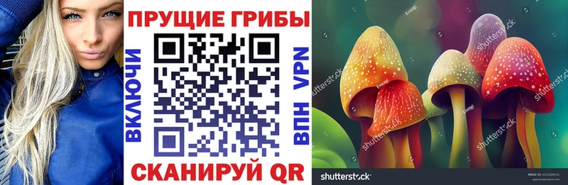 Галлюциногенные грибы Cubensis  Олёкминск 